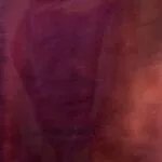 Belta