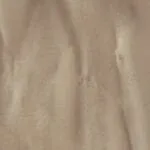 Guava