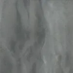 Manatee